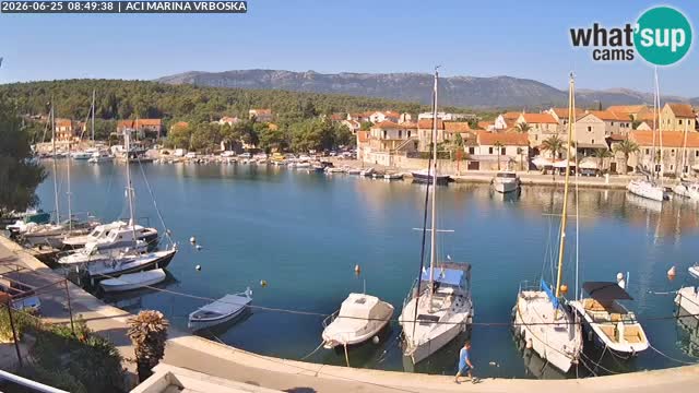 Vrboska web kamera | otom Hvar | Dalmacija