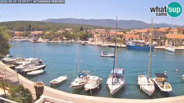 Camera Vrboska | Isla de Hvar | Croacia