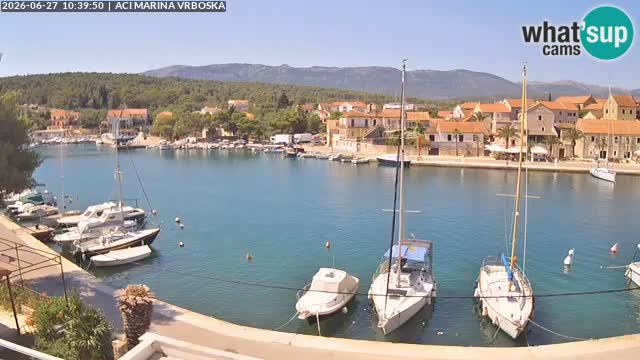 Vrboska Île de Hvar | Croatie