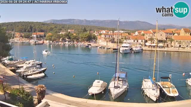 Vrboska Île de Hvar | Croatie