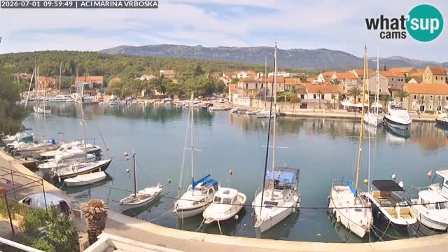Camera Vrboska | Isla de Hvar | Croacia