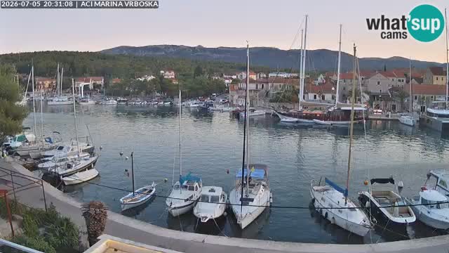 Vrboska Île de Hvar | Croatie
