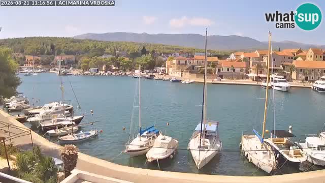 Camera Vrboska | Isla de Hvar | Croacia