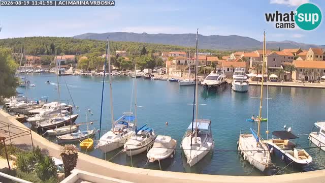 Camera Vrboska | Isla de Hvar | Croacia