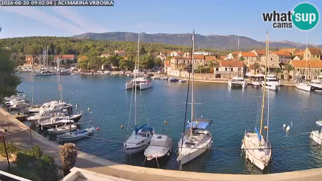 Vrboska livecam | Isola di Hvar | Croazia