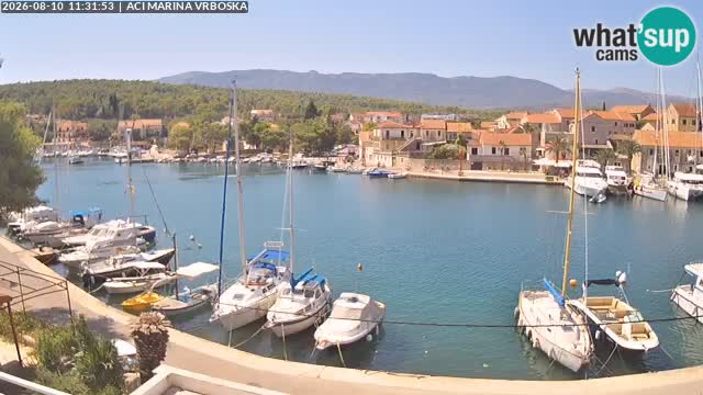 Camera Vrboska | Isla de Hvar | Croacia