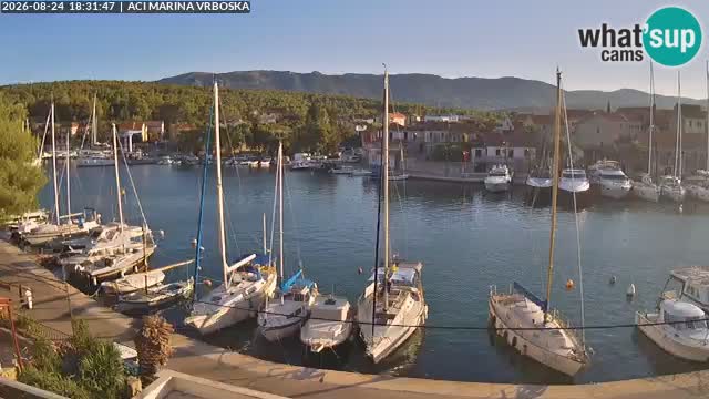 Camera Vrboska | Isla de Hvar | Croacia
