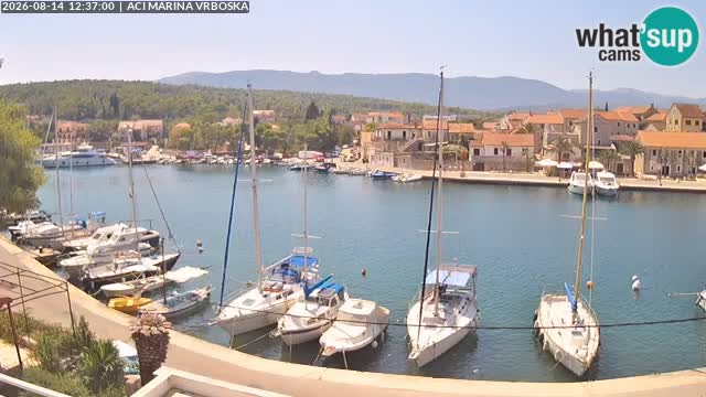 Vrboska livecam | Isola di Hvar | Croazia