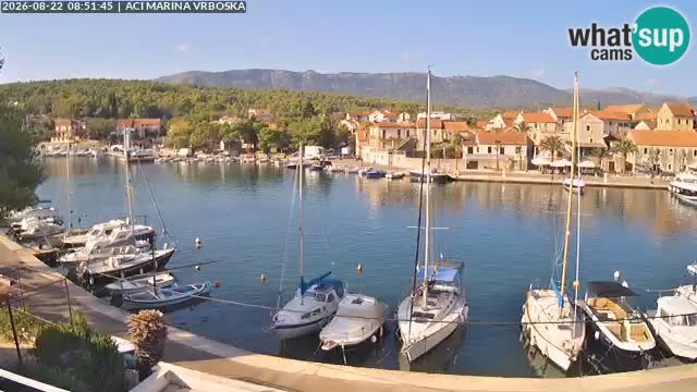 Vrboska webcam | Hvar Insel | Kroatien