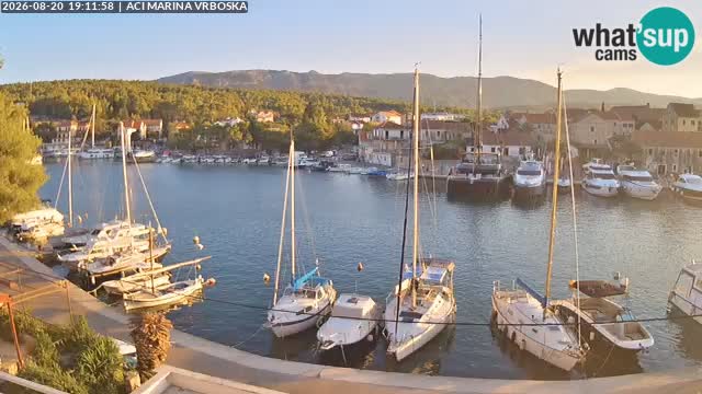 Camera Vrboska | Isla de Hvar | Croacia