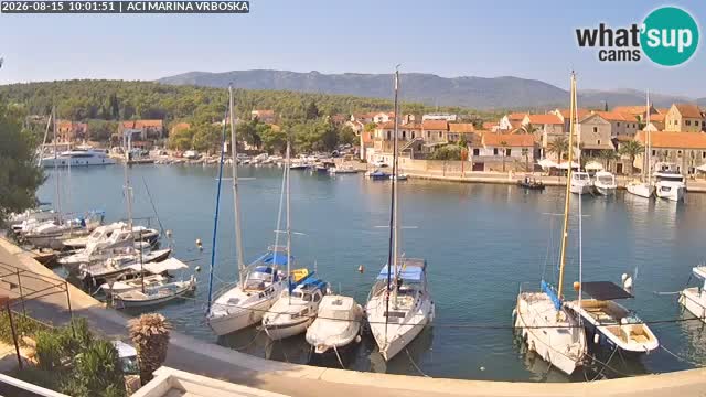 Camera Vrboska | Isla de Hvar | Croacia