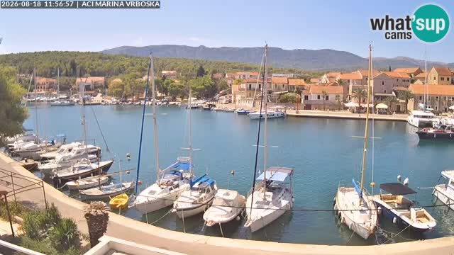 Vrboska webcam | Hvar Insel | Kroatien