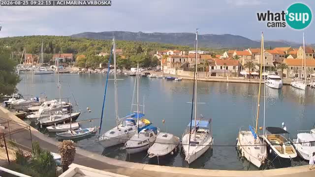 Camera Vrboska | Isla de Hvar | Croacia