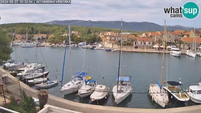 Vrboska Île de Hvar | Croatie