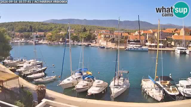Vrboska Île de Hvar | Croatie