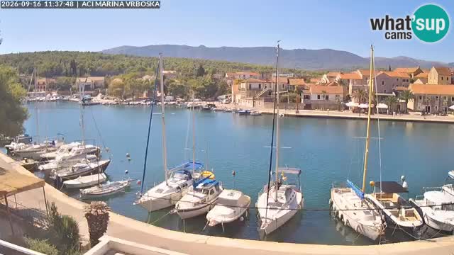 Vrboska webcam | Island of Hvar | Croatia