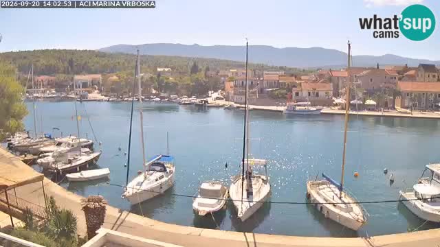 Camera Vrboska | Isla de Hvar | Croacia