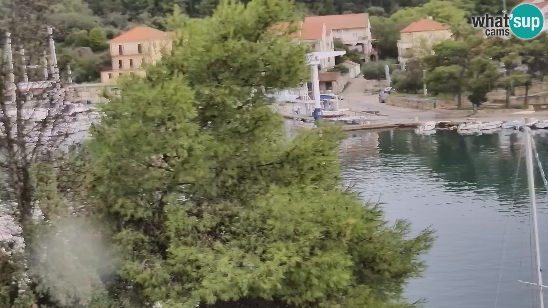 Webcam Hvar Vrboska marina | Dalmazia