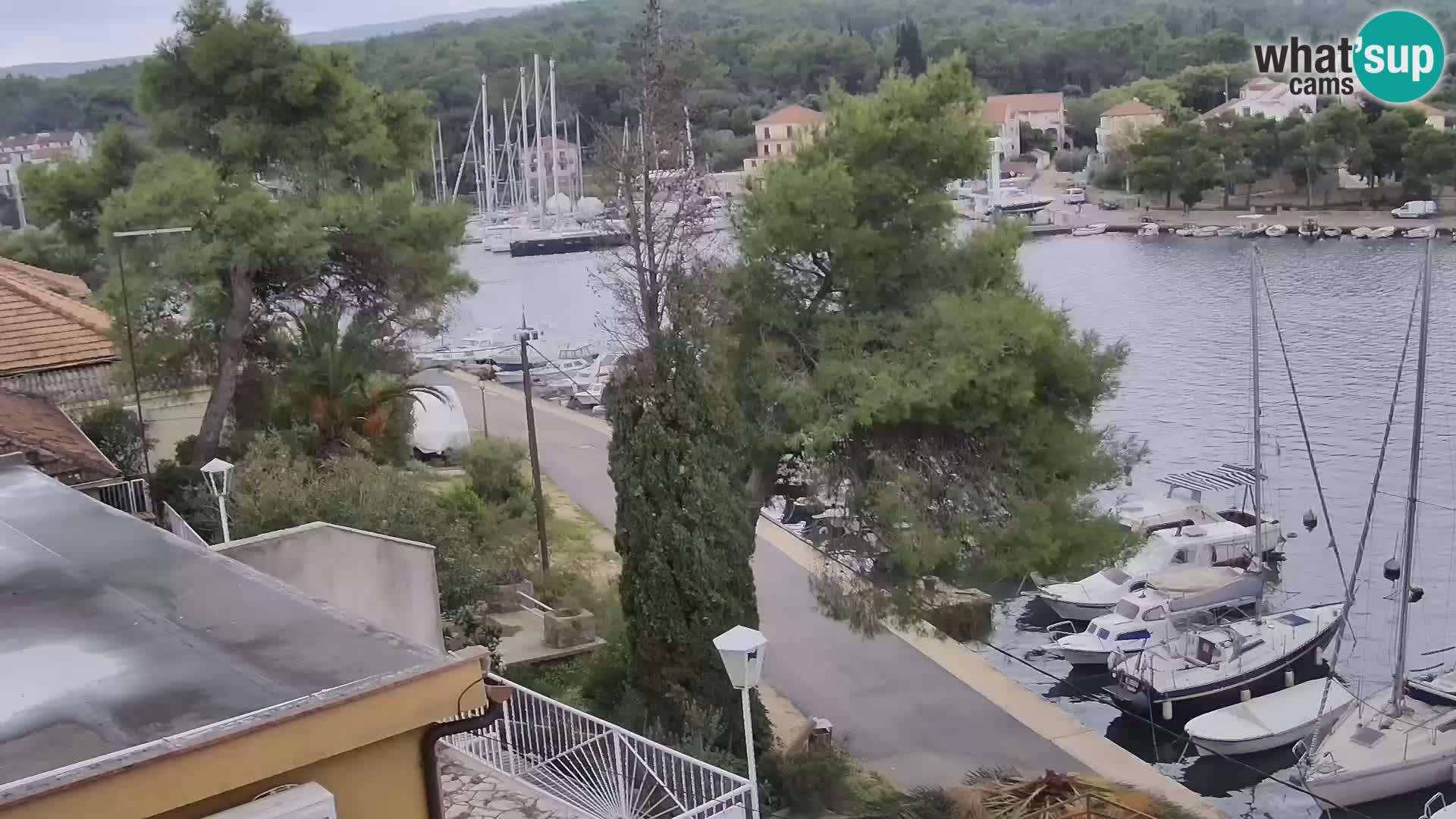 Livecam Hvar Vrboska marina | Île de Hvar | Dalmatia