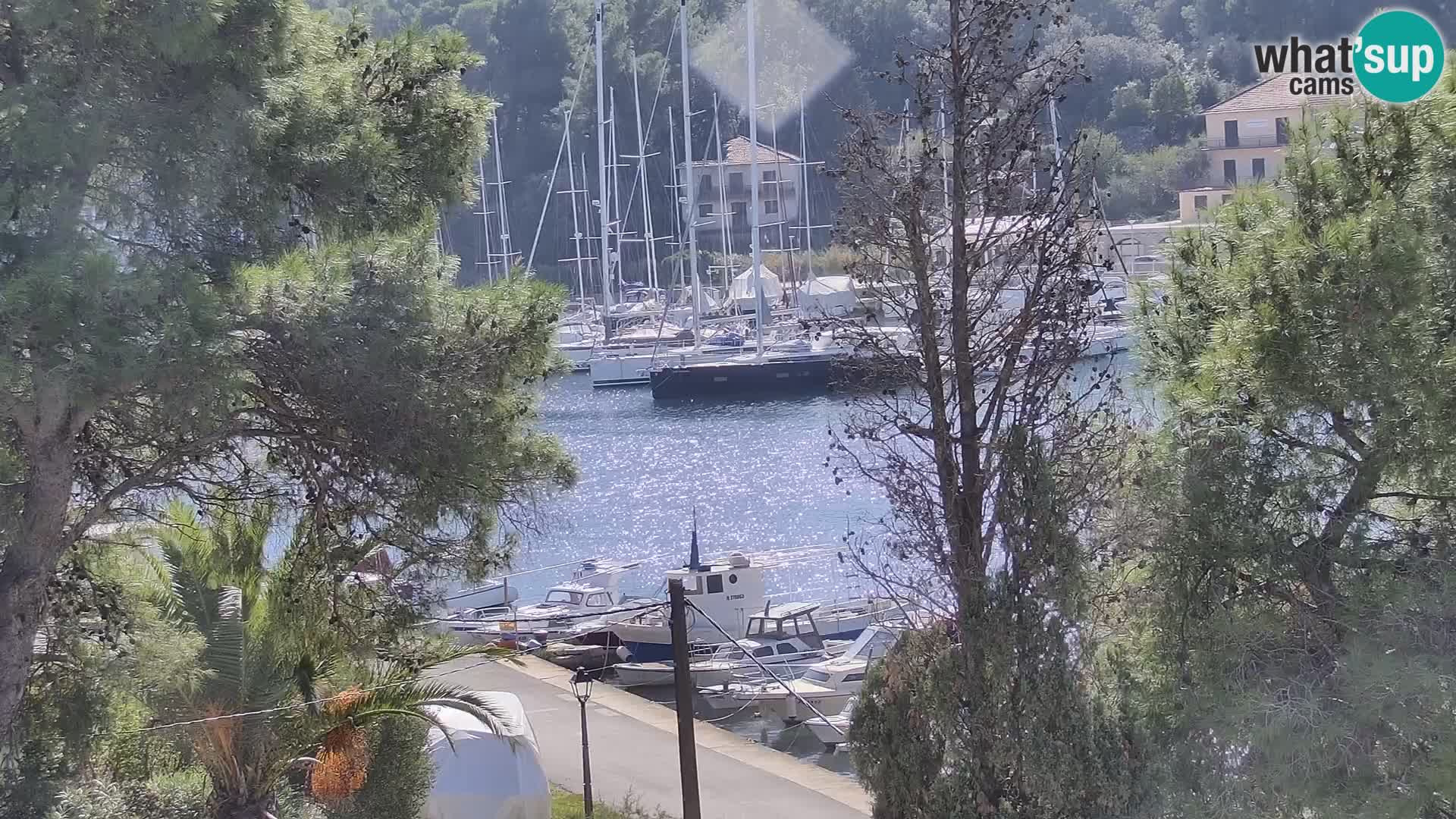 Livecam Vrboska marina | Hvar island | Dalmatia