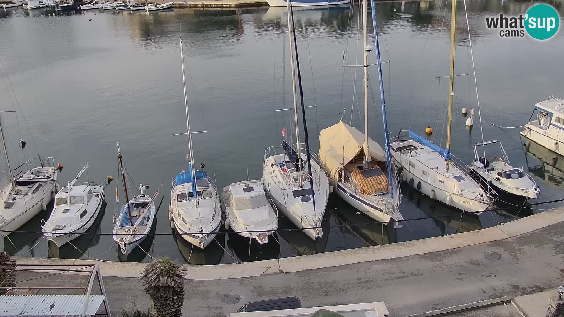 Camera Hvar Vrboska marina | isla de Hvar | Dalmacia