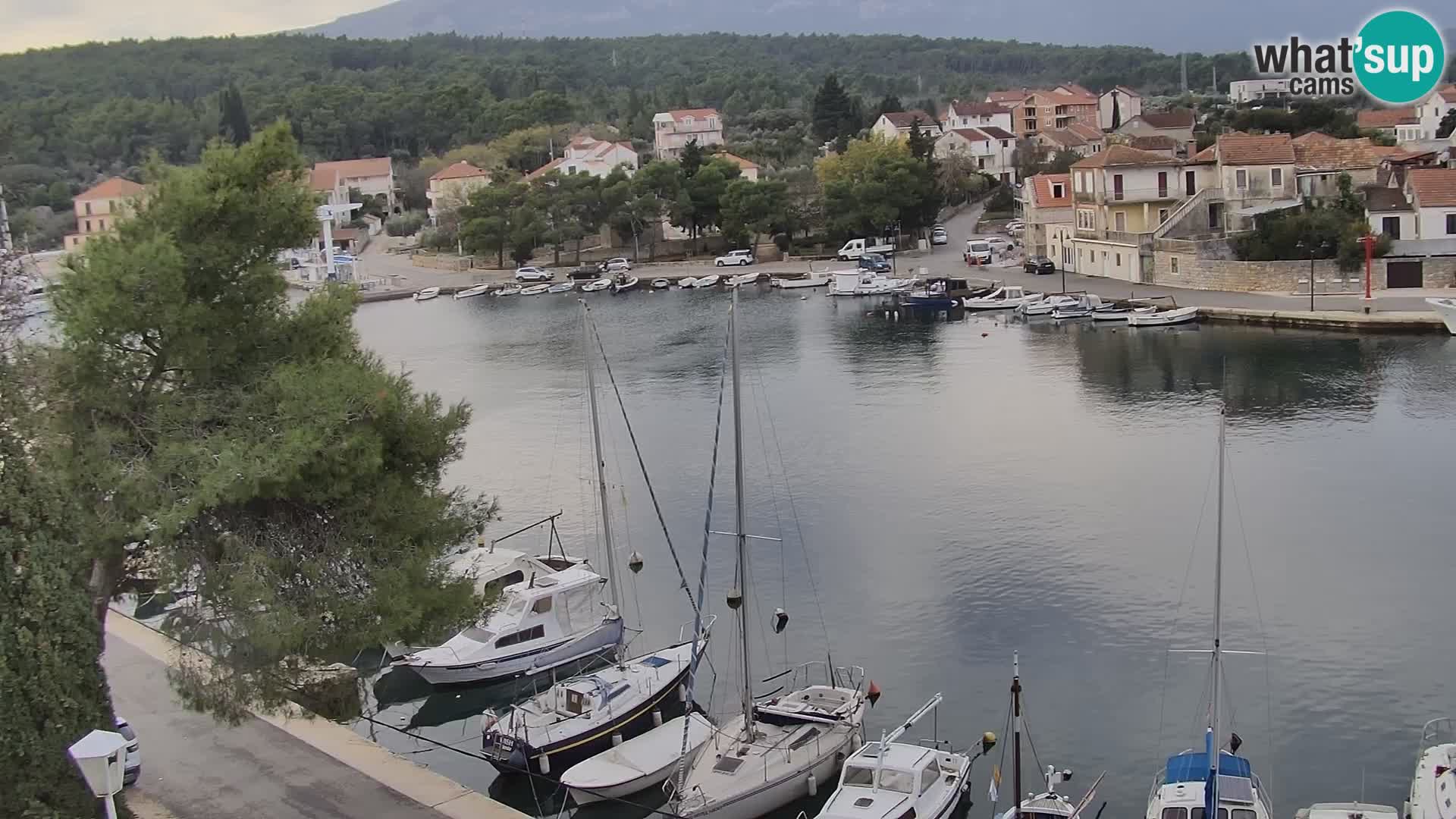 Camera Hvar Vrboska marina | isla de Hvar | Dalmacia