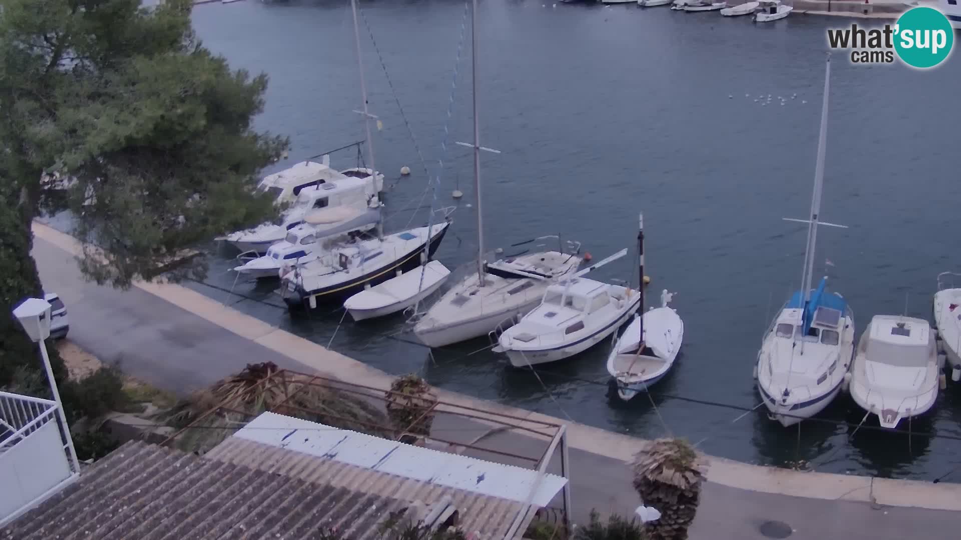 Kamera Hvar Vrboska marina | | Dalmacija