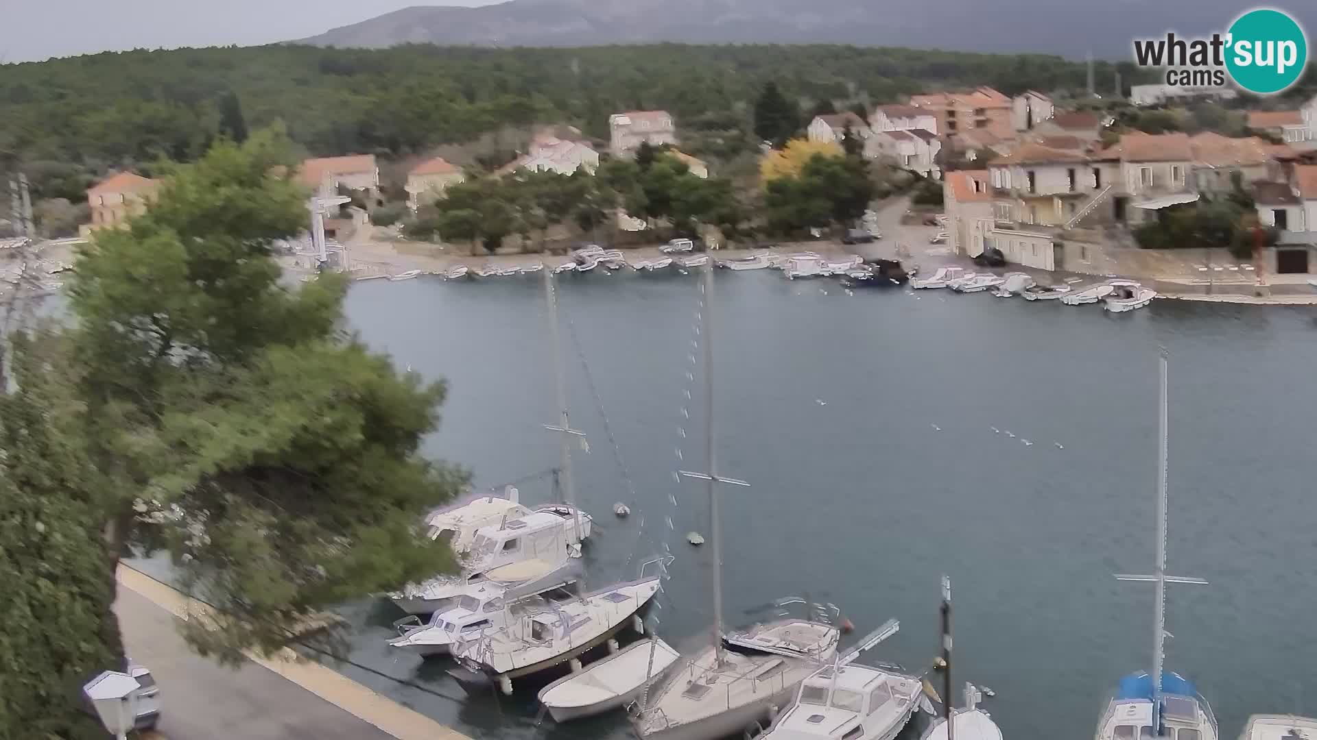 Camera Hvar Vrboska marina | isla de Hvar | Dalmacia