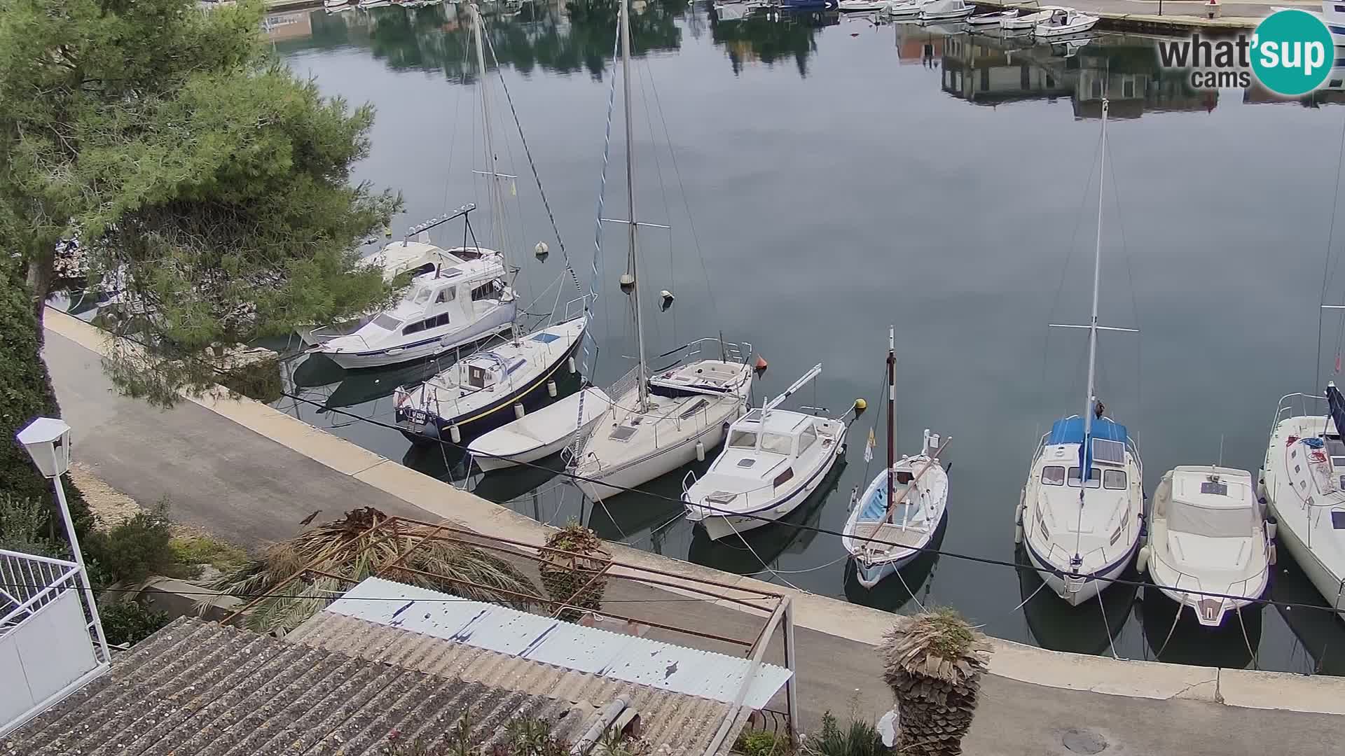 Camera Hvar Vrboska marina | isla de Hvar | Dalmacia