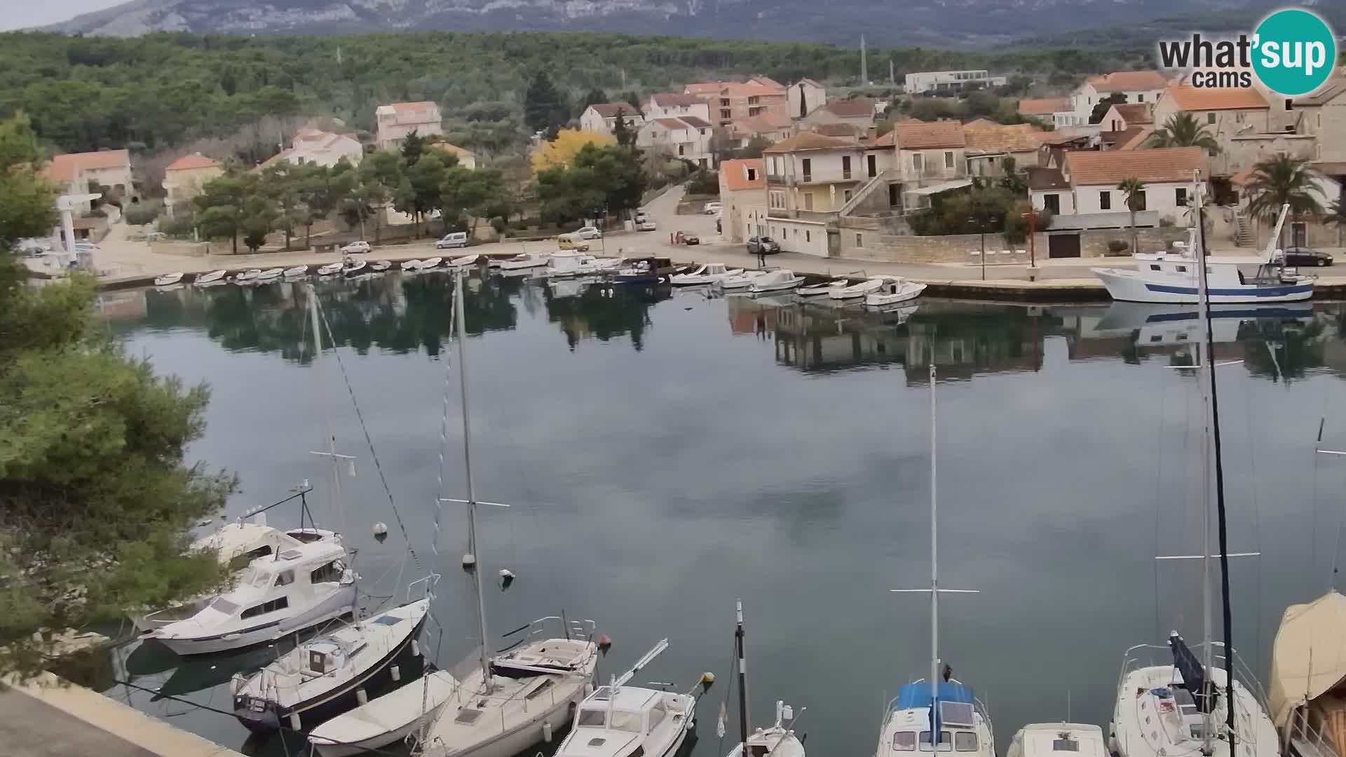 Camera Hvar Vrboska marina | isla de Hvar | Dalmacia