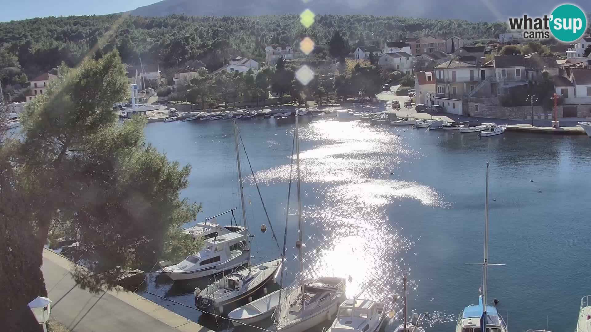 Camera Hvar Vrboska marina | isla de Hvar | Dalmacia