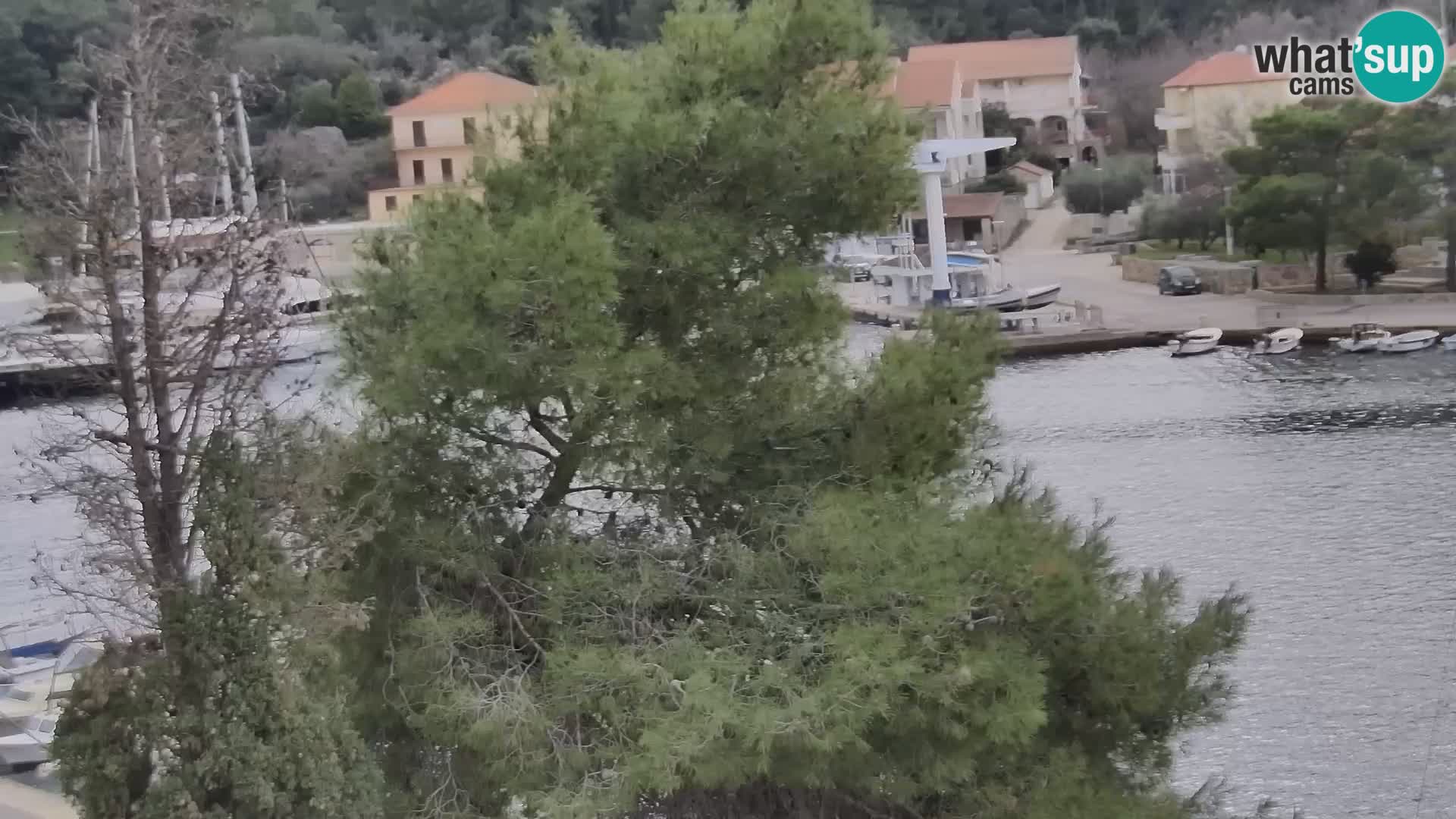 Webcam Hvar Vrboska marina | Dalmazia