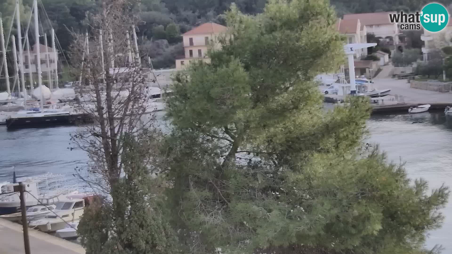 Web kamera Hvar Vrboska marina | otok Hvar | Dalmacija