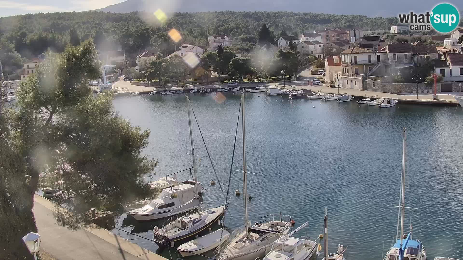 Livecam Hvar Vrboska marina | Île de Hvar | Dalmatia