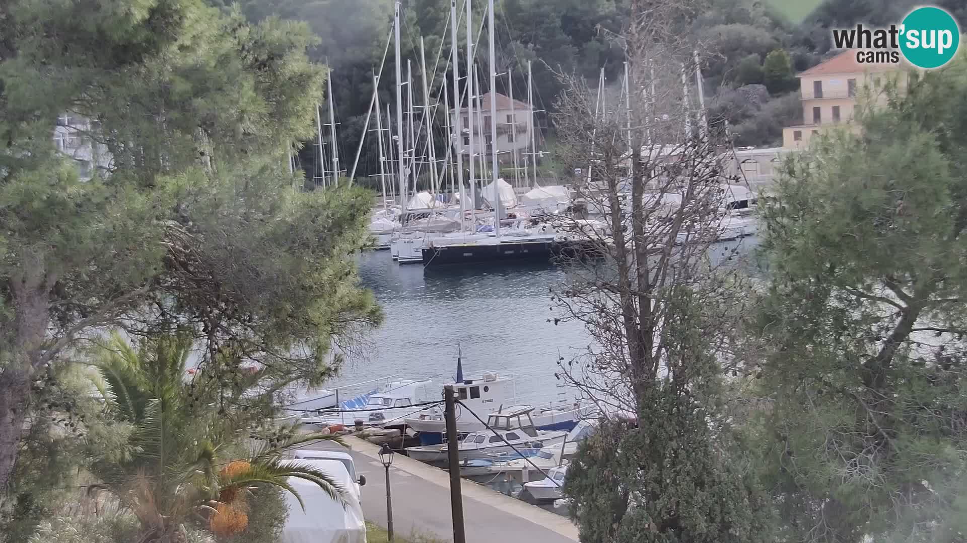 Web kamera Hvar Vrboska marina | otok Hvar | Dalmacija