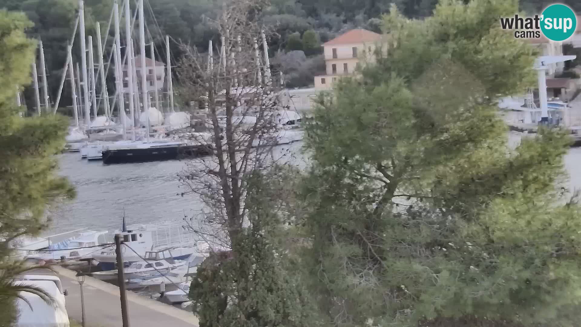 Livecam Hvar Vrboska marina | Île de Hvar | Dalmatia