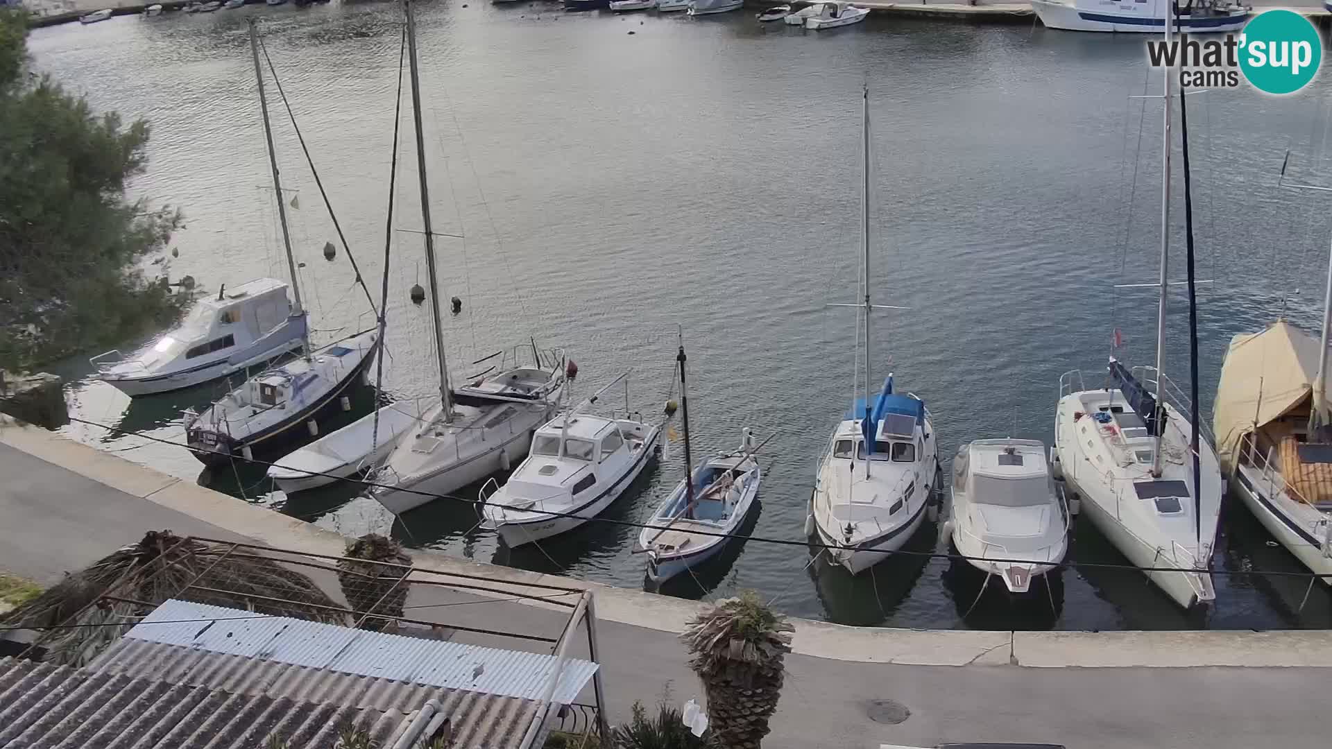 Livecam Hvar Vrboska marina | Île de Hvar | Dalmatia