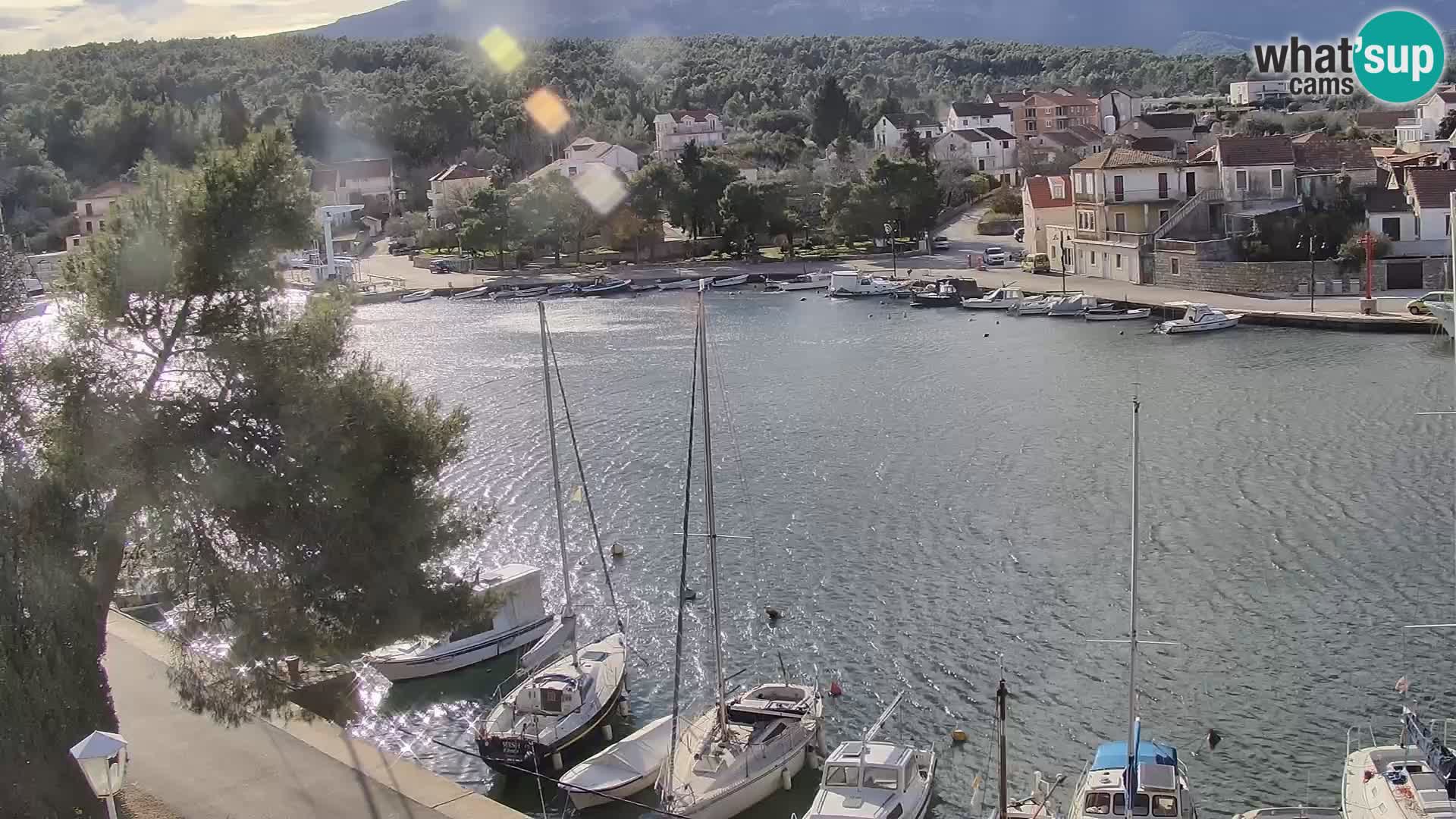 Camera Hvar Vrboska marina | isla de Hvar | Dalmacia