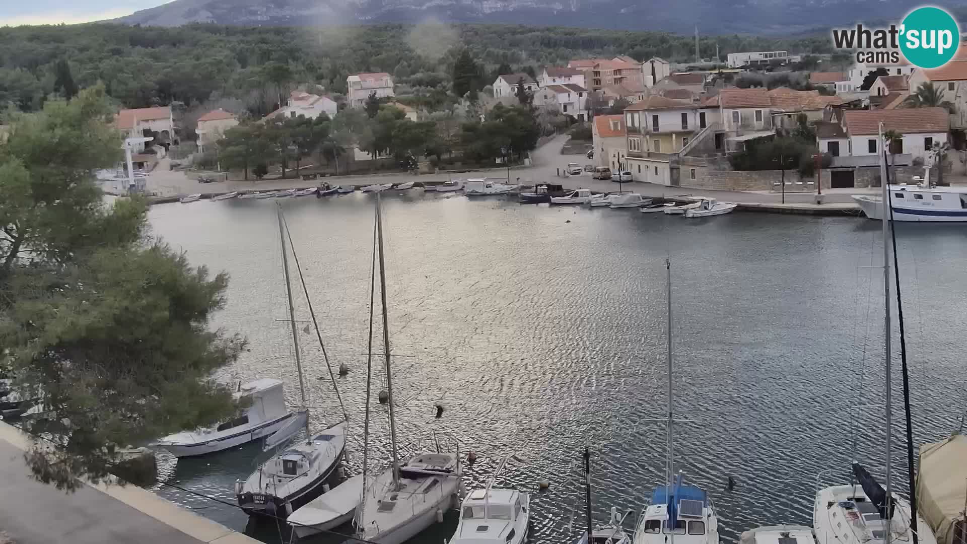 Webcam Hvar Vrboska marina | Dalmazia