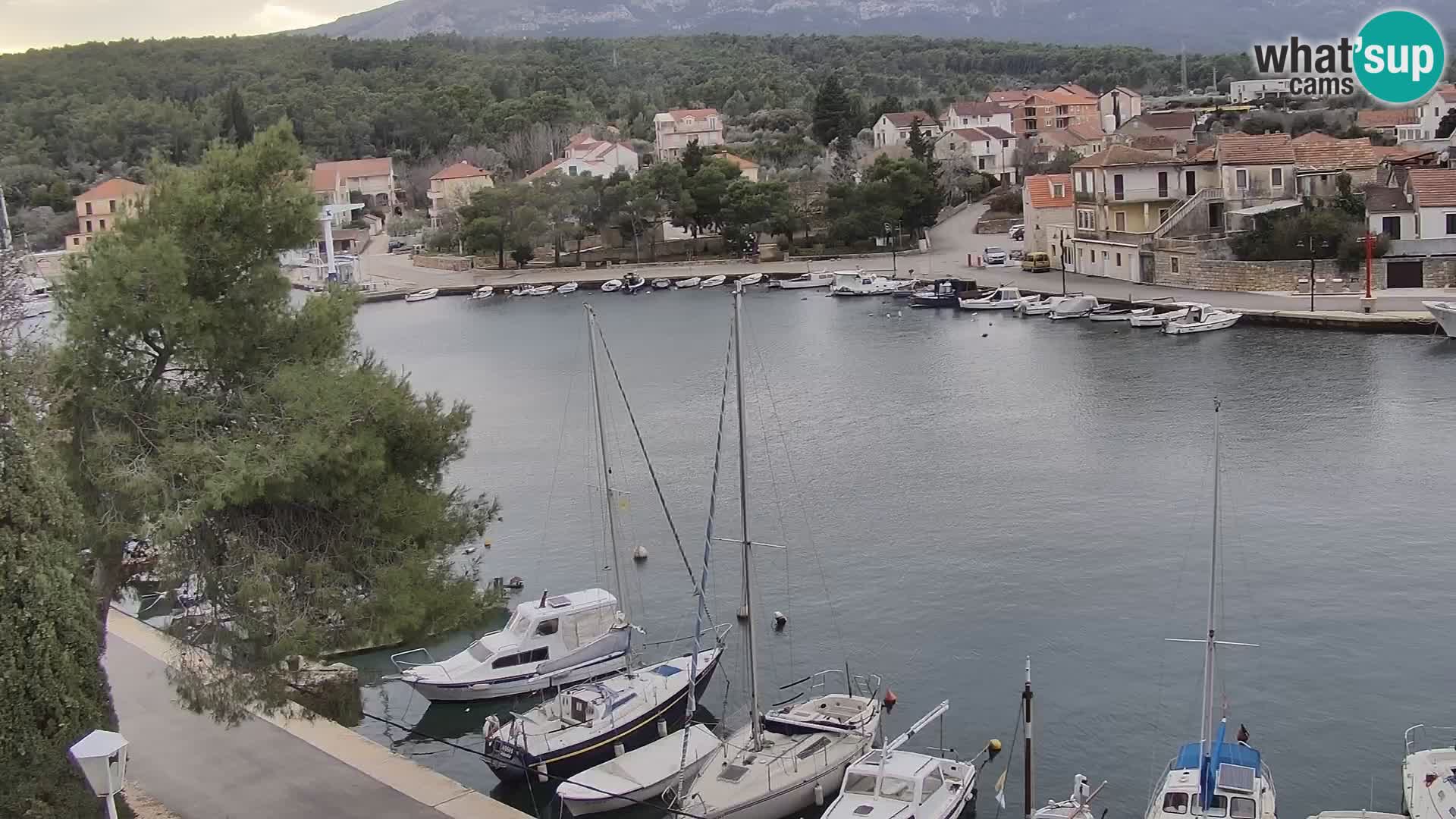 Livecam Hvar Vrboska marina | Île de Hvar | Dalmatia