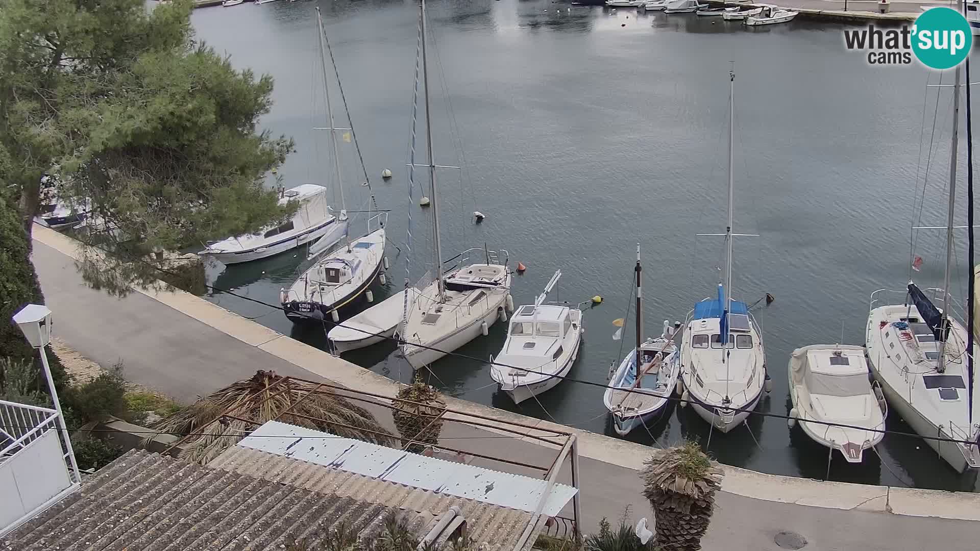 Livecam Hvar Vrboska marina | Île de Hvar | Dalmatia