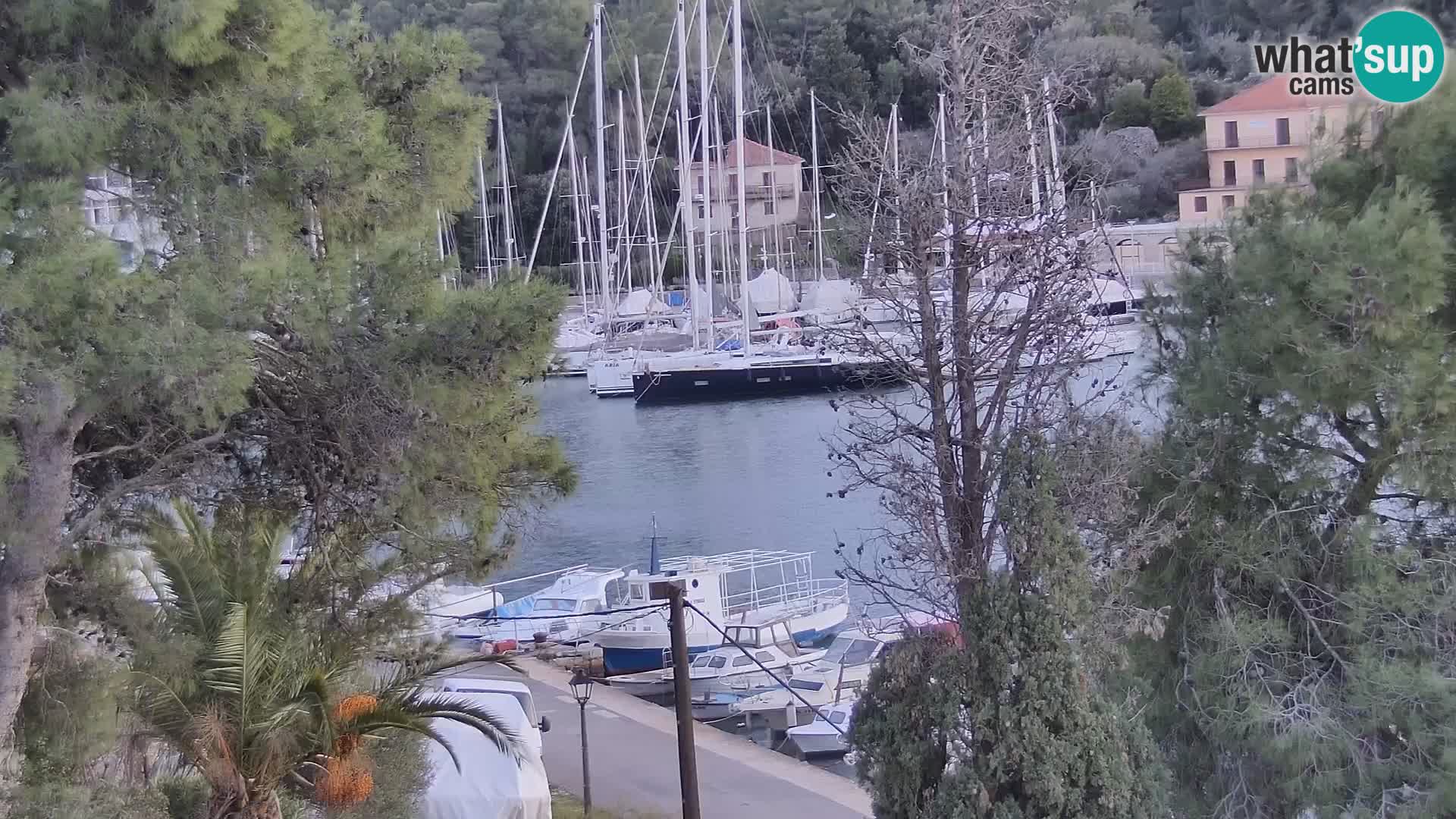 Livecam Hvar Vrboska marina | Île de Hvar | Dalmatia