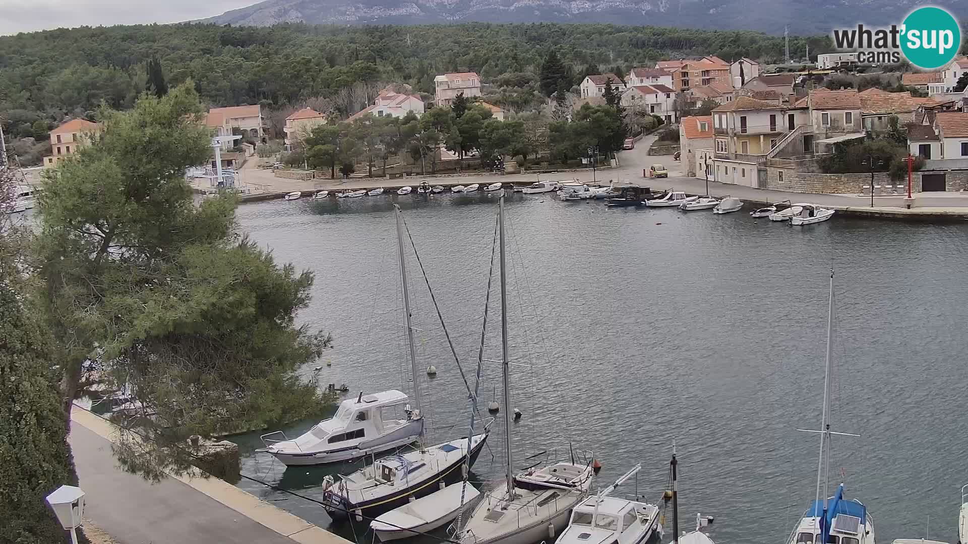 Livecam Hvar Vrboska marina | Île de Hvar | Dalmatia