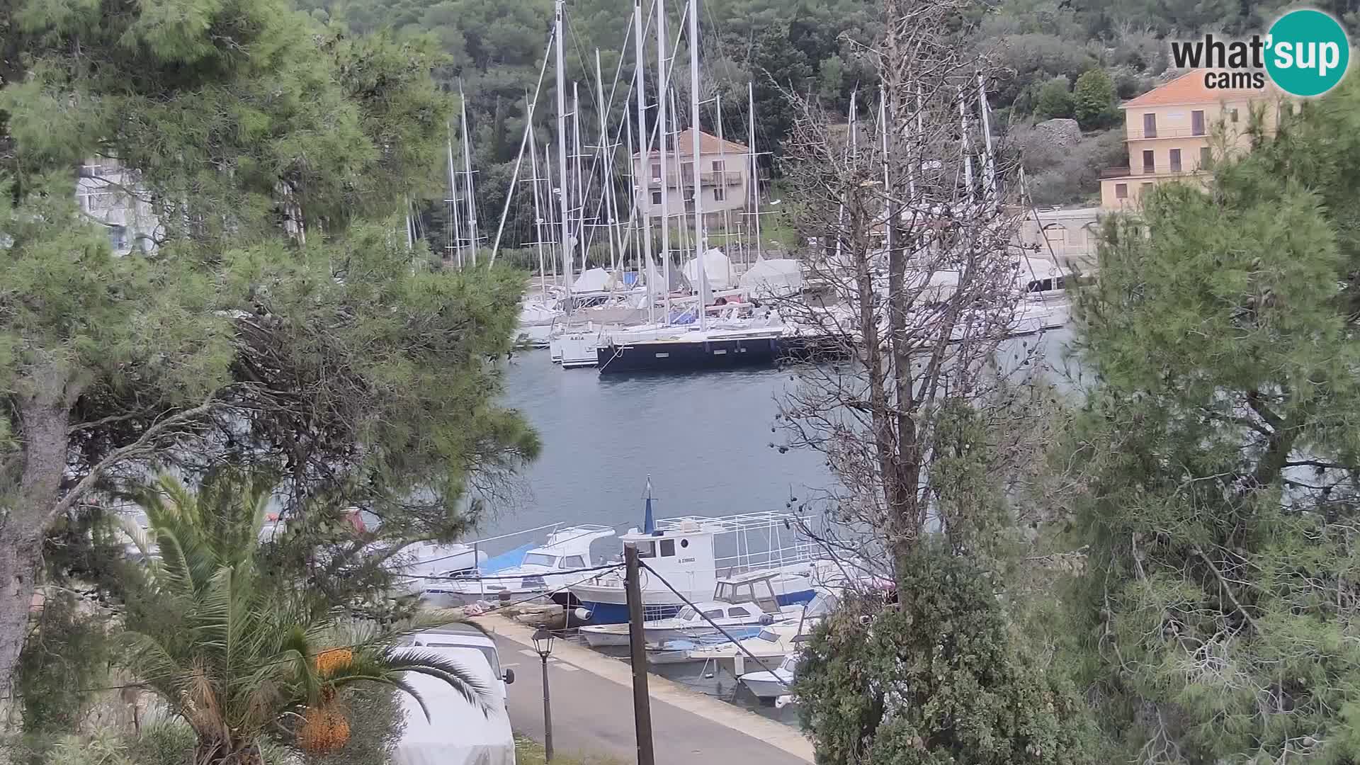 Kamera Hvar Vrboska marina | | Dalmacija