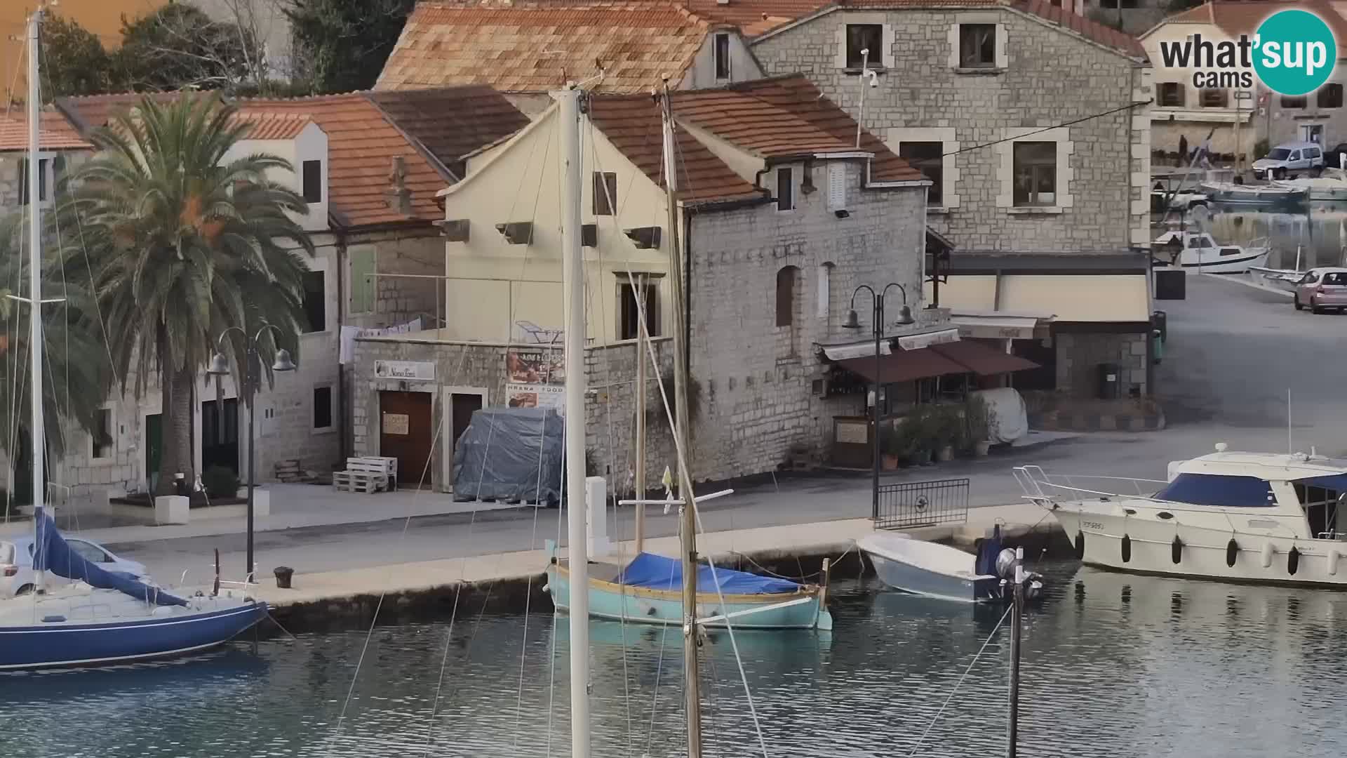 Livecam Hvar Vrboska marina | Île de Hvar | Dalmatia