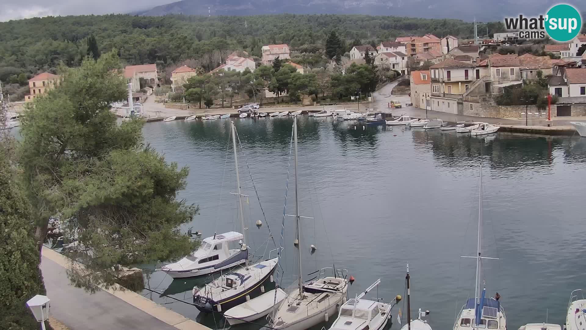 Webcam Hvar Vrboska marina | Dalmazia