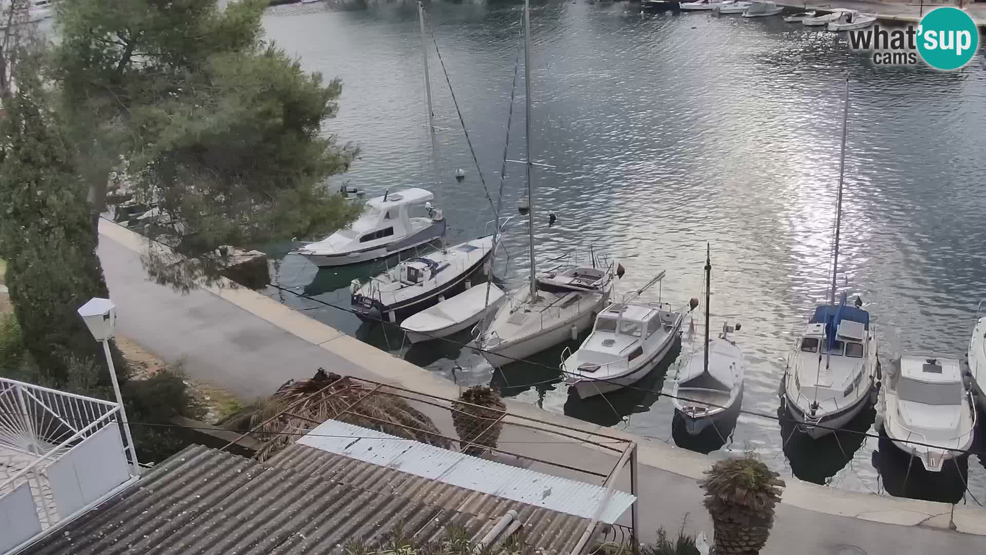 Livecam Hvar Vrboska marina | Île de Hvar | Dalmatia