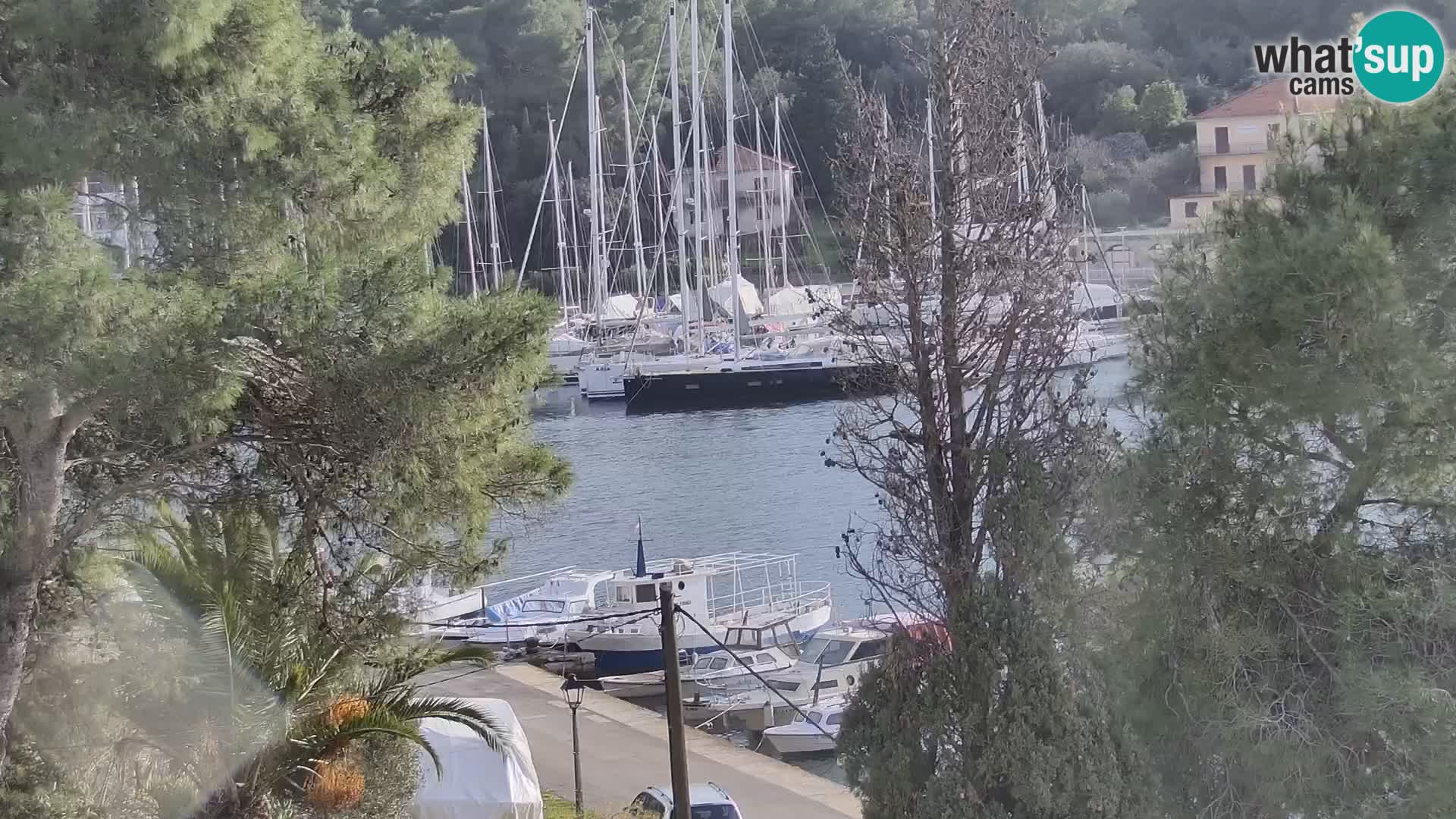 Livecam Hvar Vrboska marina | Île de Hvar | Dalmatia