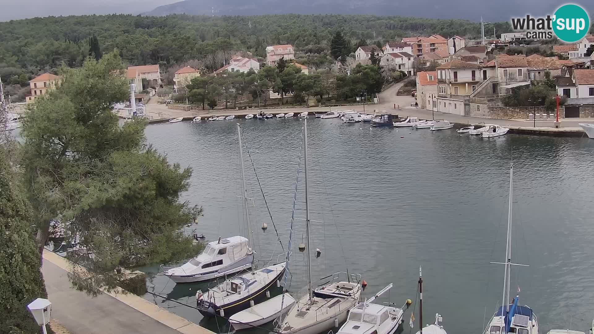 Web kamera Hvar Vrboska marina | otok Hvar | Dalmacija