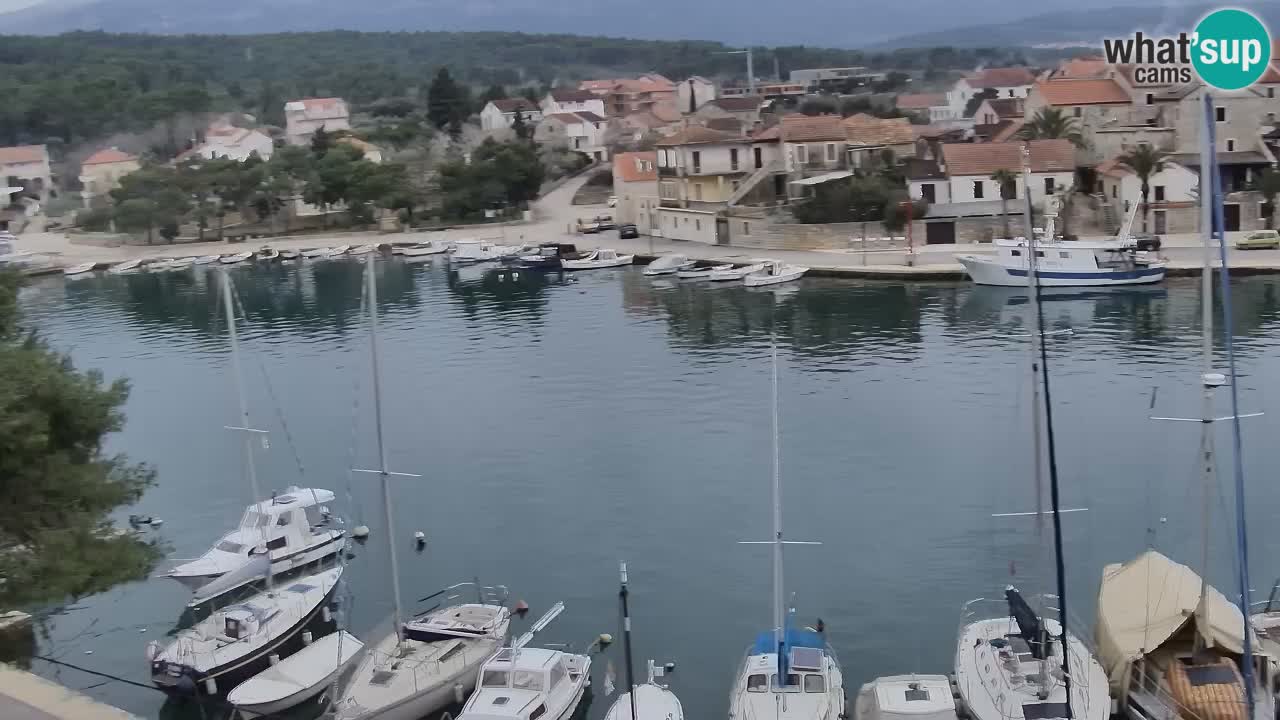 Livecam Hvar Vrboska marina | Île de Hvar | Dalmatia